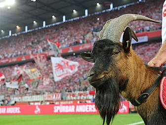 Bundesliga return setback as t...